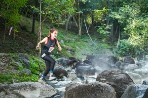 BIB: 
                            <button type="button" onclick="openModal(19430096)" class="btn btn-primary btn-sm float-right btn-popup" data-toggle="modal" data-target=".modal-high-quality">
                        <i class="fas fa-shopping-cart"></i> Add to Cart
                    </button>
                                            <button type="button" onclick="isThisMe(19430096, true)" class="btn btn-success btn-sm float-right btn-popup btn-isme hidden" data-toggle="tooltip" data-placement="bottom" title="นี่คือรูปของคุณใช่ไหม คลิกที่นี่เพื่อเอาเข้าอัลบั้ม">
                        <i class="fas fa-plus"></i> Add to album
                    </button>
                    <button type="button" onclick="isThisMe(19430096, false)" class="btn btn-warning btn-sm float-right btn-popup btn-isnotme hidden">
                        <i class="fas fa-ban"></i> Remove from album
                    </button>