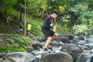 BIB: 
                            <button type="button" onclick="openModal(19430726)" class="btn btn-primary btn-sm float-right btn-popup" data-toggle="modal" data-target=".modal-high-quality">
                        <i class="fas fa-shopping-cart"></i> Add to Cart
                    </button>
                                            <button type="button" onclick="isThisMe(19430726, true)" class="btn btn-success btn-sm float-right btn-popup btn-isme hidden" data-toggle="tooltip" data-placement="bottom" title="นี่คือรูปของคุณใช่ไหม คลิกที่นี่เพื่อเอาเข้าอัลบั้ม">
                        <i class="fas fa-plus"></i> Add to album
                    </button>
                    <button type="button" onclick="isThisMe(19430726, false)" class="btn btn-warning btn-sm float-right btn-popup btn-isnotme hidden">
                        <i class="fas fa-ban"></i> Remove from album
                    </button>