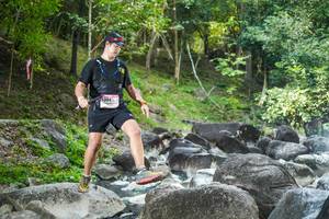 BIB: 
                            <button type="button" onclick="openModal(19430782)" class="btn btn-primary btn-sm float-right btn-popup" data-toggle="modal" data-target=".modal-high-quality">
                        <i class="fas fa-shopping-cart"></i> Add to Cart
                    </button>
                                            <button type="button" onclick="isThisMe(19430782, true)" class="btn btn-success btn-sm float-right btn-popup btn-isme hidden" data-toggle="tooltip" data-placement="bottom" title="นี่คือรูปของคุณใช่ไหม คลิกที่นี่เพื่อเอาเข้าอัลบั้ม">
                        <i class="fas fa-plus"></i> Add to album
                    </button>
                    <button type="button" onclick="isThisMe(19430782, false)" class="btn btn-warning btn-sm float-right btn-popup btn-isnotme hidden">
                        <i class="fas fa-ban"></i> Remove from album
                    </button>