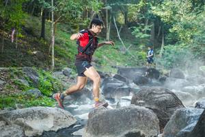 BIB: 
                            <button type="button" onclick="openModal(19429870)" class="btn btn-primary btn-sm float-right btn-popup" data-toggle="modal" data-target=".modal-high-quality">
                        <i class="fas fa-shopping-cart"></i> Add to Cart
                    </button>
                                            <button type="button" onclick="isThisMe(19429870, true)" class="btn btn-success btn-sm float-right btn-popup btn-isme hidden" data-toggle="tooltip" data-placement="bottom" title="นี่คือรูปของคุณใช่ไหม คลิกที่นี่เพื่อเอาเข้าอัลบั้ม">
                        <i class="fas fa-plus"></i> Add to album
                    </button>
                    <button type="button" onclick="isThisMe(19429870, false)" class="btn btn-warning btn-sm float-right btn-popup btn-isnotme hidden">
                        <i class="fas fa-ban"></i> Remove from album
                    </button>