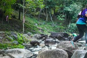 BIB: 
                            <button type="button" onclick="openModal(19432837)" class="btn btn-primary btn-sm float-right btn-popup" data-toggle="modal" data-target=".modal-high-quality">
                        <i class="fas fa-shopping-cart"></i> Add to Cart
                    </button>
                                            <button type="button" onclick="isThisMe(19432837, true)" class="btn btn-success btn-sm float-right btn-popup btn-isme hidden" data-toggle="tooltip" data-placement="bottom" title="นี่คือรูปของคุณใช่ไหม คลิกที่นี่เพื่อเอาเข้าอัลบั้ม">
                        <i class="fas fa-plus"></i> Add to album
                    </button>
                    <button type="button" onclick="isThisMe(19432837, false)" class="btn btn-warning btn-sm float-right btn-popup btn-isnotme hidden">
                        <i class="fas fa-ban"></i> Remove from album
                    </button>