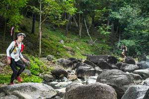 BIB: 
                            <button type="button" onclick="openModal(19433902)" class="btn btn-primary btn-sm float-right btn-popup" data-toggle="modal" data-target=".modal-high-quality">
                        <i class="fas fa-shopping-cart"></i> Add to Cart
                    </button>
                                            <button type="button" onclick="isThisMe(19433902, true)" class="btn btn-success btn-sm float-right btn-popup btn-isme hidden" data-toggle="tooltip" data-placement="bottom" title="นี่คือรูปของคุณใช่ไหม คลิกที่นี่เพื่อเอาเข้าอัลบั้ม">
                        <i class="fas fa-plus"></i> Add to album
                    </button>
                    <button type="button" onclick="isThisMe(19433902, false)" class="btn btn-warning btn-sm float-right btn-popup btn-isnotme hidden">
                        <i class="fas fa-ban"></i> Remove from album
                    </button>