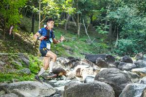 BIB: 
                            <button type="button" onclick="openModal(19433469)" class="btn btn-primary btn-sm float-right btn-popup" data-toggle="modal" data-target=".modal-high-quality">
                        <i class="fas fa-shopping-cart"></i> Add to Cart
                    </button>
                                            <button type="button" onclick="isThisMe(19433469, true)" class="btn btn-success btn-sm float-right btn-popup btn-isme hidden" data-toggle="tooltip" data-placement="bottom" title="นี่คือรูปของคุณใช่ไหม คลิกที่นี่เพื่อเอาเข้าอัลบั้ม">
                        <i class="fas fa-plus"></i> Add to album
                    </button>
                    <button type="button" onclick="isThisMe(19433469, false)" class="btn btn-warning btn-sm float-right btn-popup btn-isnotme hidden">
                        <i class="fas fa-ban"></i> Remove from album
                    </button>