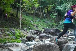 BIB: 
                            <button type="button" onclick="openModal(19432839)" class="btn btn-primary btn-sm float-right btn-popup" data-toggle="modal" data-target=".modal-high-quality">
                        <i class="fas fa-shopping-cart"></i> Add to Cart
                    </button>
                                            <button type="button" onclick="isThisMe(19432839, true)" class="btn btn-success btn-sm float-right btn-popup btn-isme hidden" data-toggle="tooltip" data-placement="bottom" title="นี่คือรูปของคุณใช่ไหม คลิกที่นี่เพื่อเอาเข้าอัลบั้ม">
                        <i class="fas fa-plus"></i> Add to album
                    </button>
                    <button type="button" onclick="isThisMe(19432839, false)" class="btn btn-warning btn-sm float-right btn-popup btn-isnotme hidden">
                        <i class="fas fa-ban"></i> Remove from album
                    </button>