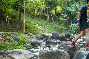 BIB: 
                            <button type="button" onclick="openModal(19432135)" class="btn btn-primary btn-sm float-right btn-popup" data-toggle="modal" data-target=".modal-high-quality">
                        <i class="fas fa-shopping-cart"></i> Add to Cart
                    </button>
                                            <button type="button" onclick="isThisMe(19432135, true)" class="btn btn-success btn-sm float-right btn-popup btn-isme hidden" data-toggle="tooltip" data-placement="bottom" title="นี่คือรูปของคุณใช่ไหม คลิกที่นี่เพื่อเอาเข้าอัลบั้ม">
                        <i class="fas fa-plus"></i> Add to album
                    </button>
                    <button type="button" onclick="isThisMe(19432135, false)" class="btn btn-warning btn-sm float-right btn-popup btn-isnotme hidden">
                        <i class="fas fa-ban"></i> Remove from album
                    </button>