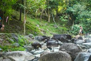 BIB: 
                            <button type="button" onclick="openModal(19431688)" class="btn btn-primary btn-sm float-right btn-popup" data-toggle="modal" data-target=".modal-high-quality">
                        <i class="fas fa-shopping-cart"></i> Add to Cart
                    </button>
                                            <button type="button" onclick="isThisMe(19431688, true)" class="btn btn-success btn-sm float-right btn-popup btn-isme hidden" data-toggle="tooltip" data-placement="bottom" title="นี่คือรูปของคุณใช่ไหม คลิกที่นี่เพื่อเอาเข้าอัลบั้ม">
                        <i class="fas fa-plus"></i> Add to album
                    </button>
                    <button type="button" onclick="isThisMe(19431688, false)" class="btn btn-warning btn-sm float-right btn-popup btn-isnotme hidden">
                        <i class="fas fa-ban"></i> Remove from album
                    </button>