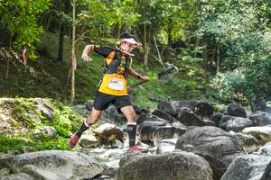 BIB: 
                            <button type="button" onclick="openModal(19434067)" class="btn btn-primary btn-sm float-right btn-popup" data-toggle="modal" data-target=".modal-high-quality">
                        <i class="fas fa-shopping-cart"></i> Add to Cart
                    </button>
                                            <button type="button" onclick="isThisMe(19434067, true)" class="btn btn-success btn-sm float-right btn-popup btn-isme hidden" data-toggle="tooltip" data-placement="bottom" title="นี่คือรูปของคุณใช่ไหม คลิกที่นี่เพื่อเอาเข้าอัลบั้ม">
                        <i class="fas fa-plus"></i> Add to album
                    </button>
                    <button type="button" onclick="isThisMe(19434067, false)" class="btn btn-warning btn-sm float-right btn-popup btn-isnotme hidden">
                        <i class="fas fa-ban"></i> Remove from album
                    </button>