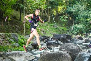 BIB: 
                            <button type="button" onclick="openModal(19431646)" class="btn btn-primary btn-sm float-right btn-popup" data-toggle="modal" data-target=".modal-high-quality">
                        <i class="fas fa-shopping-cart"></i> Add to Cart
                    </button>
                                            <button type="button" onclick="isThisMe(19431646, true)" class="btn btn-success btn-sm float-right btn-popup btn-isme hidden" data-toggle="tooltip" data-placement="bottom" title="นี่คือรูปของคุณใช่ไหม คลิกที่นี่เพื่อเอาเข้าอัลบั้ม">
                        <i class="fas fa-plus"></i> Add to album
                    </button>
                    <button type="button" onclick="isThisMe(19431646, false)" class="btn btn-warning btn-sm float-right btn-popup btn-isnotme hidden">
                        <i class="fas fa-ban"></i> Remove from album
                    </button>