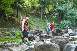 BIB: 
                            <button type="button" onclick="openModal(19432914)" class="btn btn-primary btn-sm float-right btn-popup" data-toggle="modal" data-target=".modal-high-quality">
                        <i class="fas fa-shopping-cart"></i> Add to Cart
                    </button>
                                            <button type="button" onclick="isThisMe(19432914, true)" class="btn btn-success btn-sm float-right btn-popup btn-isme hidden" data-toggle="tooltip" data-placement="bottom" title="นี่คือรูปของคุณใช่ไหม คลิกที่นี่เพื่อเอาเข้าอัลบั้ม">
                        <i class="fas fa-plus"></i> Add to album
                    </button>
                    <button type="button" onclick="isThisMe(19432914, false)" class="btn btn-warning btn-sm float-right btn-popup btn-isnotme hidden">
                        <i class="fas fa-ban"></i> Remove from album
                    </button>