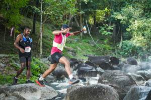 BIB: 
                            <button type="button" onclick="openModal(19430018)" class="btn btn-primary btn-sm float-right btn-popup" data-toggle="modal" data-target=".modal-high-quality">
                        <i class="fas fa-shopping-cart"></i> Add to Cart
                    </button>
                                            <button type="button" onclick="isThisMe(19430018, true)" class="btn btn-success btn-sm float-right btn-popup btn-isme hidden" data-toggle="tooltip" data-placement="bottom" title="นี่คือรูปของคุณใช่ไหม คลิกที่นี่เพื่อเอาเข้าอัลบั้ม">
                        <i class="fas fa-plus"></i> Add to album
                    </button>
                    <button type="button" onclick="isThisMe(19430018, false)" class="btn btn-warning btn-sm float-right btn-popup btn-isnotme hidden">
                        <i class="fas fa-ban"></i> Remove from album
                    </button>