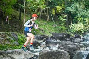 BIB: 
                            <button type="button" onclick="openModal(19430662)" class="btn btn-primary btn-sm float-right btn-popup" data-toggle="modal" data-target=".modal-high-quality">
                        <i class="fas fa-shopping-cart"></i> Add to Cart
                    </button>
                                            <button type="button" onclick="isThisMe(19430662, true)" class="btn btn-success btn-sm float-right btn-popup btn-isme hidden" data-toggle="tooltip" data-placement="bottom" title="นี่คือรูปของคุณใช่ไหม คลิกที่นี่เพื่อเอาเข้าอัลบั้ม">
                        <i class="fas fa-plus"></i> Add to album
                    </button>
                    <button type="button" onclick="isThisMe(19430662, false)" class="btn btn-warning btn-sm float-right btn-popup btn-isnotme hidden">
                        <i class="fas fa-ban"></i> Remove from album
                    </button>