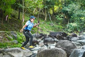 BIB: 
                            <button type="button" onclick="openModal(19431514)" class="btn btn-primary btn-sm float-right btn-popup" data-toggle="modal" data-target=".modal-high-quality">
                        <i class="fas fa-shopping-cart"></i> Add to Cart
                    </button>
                                            <button type="button" onclick="isThisMe(19431514, true)" class="btn btn-success btn-sm float-right btn-popup btn-isme hidden" data-toggle="tooltip" data-placement="bottom" title="นี่คือรูปของคุณใช่ไหม คลิกที่นี่เพื่อเอาเข้าอัลบั้ม">
                        <i class="fas fa-plus"></i> Add to album
                    </button>
                    <button type="button" onclick="isThisMe(19431514, false)" class="btn btn-warning btn-sm float-right btn-popup btn-isnotme hidden">
                        <i class="fas fa-ban"></i> Remove from album
                    </button>