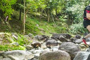 BIB: 
                            <button type="button" onclick="openModal(19434364)" class="btn btn-primary btn-sm float-right btn-popup" data-toggle="modal" data-target=".modal-high-quality">
                        <i class="fas fa-shopping-cart"></i> Add to Cart
                    </button>
                                            <button type="button" onclick="isThisMe(19434364, true)" class="btn btn-success btn-sm float-right btn-popup btn-isme hidden" data-toggle="tooltip" data-placement="bottom" title="นี่คือรูปของคุณใช่ไหม คลิกที่นี่เพื่อเอาเข้าอัลบั้ม">
                        <i class="fas fa-plus"></i> Add to album
                    </button>
                    <button type="button" onclick="isThisMe(19434364, false)" class="btn btn-warning btn-sm float-right btn-popup btn-isnotme hidden">
                        <i class="fas fa-ban"></i> Remove from album
                    </button>