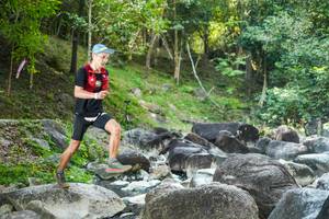 BIB: 
                            <button type="button" onclick="openModal(19431587)" class="btn btn-primary btn-sm float-right btn-popup" data-toggle="modal" data-target=".modal-high-quality">
                        <i class="fas fa-shopping-cart"></i> Add to Cart
                    </button>
                                            <button type="button" onclick="isThisMe(19431587, true)" class="btn btn-success btn-sm float-right btn-popup btn-isme hidden" data-toggle="tooltip" data-placement="bottom" title="นี่คือรูปของคุณใช่ไหม คลิกที่นี่เพื่อเอาเข้าอัลบั้ม">
                        <i class="fas fa-plus"></i> Add to album
                    </button>
                    <button type="button" onclick="isThisMe(19431587, false)" class="btn btn-warning btn-sm float-right btn-popup btn-isnotme hidden">
                        <i class="fas fa-ban"></i> Remove from album
                    </button>