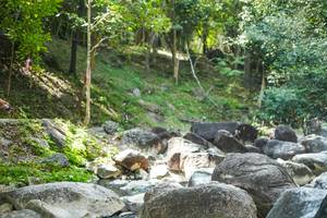 BIB: 
                            <button type="button" onclick="openModal(19433647)" class="btn btn-primary btn-sm float-right btn-popup" data-toggle="modal" data-target=".modal-high-quality">
                        <i class="fas fa-shopping-cart"></i> Add to Cart
                    </button>
                                            <button type="button" onclick="isThisMe(19433647, true)" class="btn btn-success btn-sm float-right btn-popup btn-isme hidden" data-toggle="tooltip" data-placement="bottom" title="นี่คือรูปของคุณใช่ไหม คลิกที่นี่เพื่อเอาเข้าอัลบั้ม">
                        <i class="fas fa-plus"></i> Add to album
                    </button>
                    <button type="button" onclick="isThisMe(19433647, false)" class="btn btn-warning btn-sm float-right btn-popup btn-isnotme hidden">
                        <i class="fas fa-ban"></i> Remove from album
                    </button>