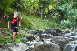 BIB: 
                            <button type="button" onclick="openModal(19431584)" class="btn btn-primary btn-sm float-right btn-popup" data-toggle="modal" data-target=".modal-high-quality">
                        <i class="fas fa-shopping-cart"></i> Add to Cart
                    </button>
                                            <button type="button" onclick="isThisMe(19431584, true)" class="btn btn-success btn-sm float-right btn-popup btn-isme hidden" data-toggle="tooltip" data-placement="bottom" title="นี่คือรูปของคุณใช่ไหม คลิกที่นี่เพื่อเอาเข้าอัลบั้ม">
                        <i class="fas fa-plus"></i> Add to album
                    </button>
                    <button type="button" onclick="isThisMe(19431584, false)" class="btn btn-warning btn-sm float-right btn-popup btn-isnotme hidden">
                        <i class="fas fa-ban"></i> Remove from album
                    </button>