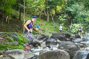 BIB: 
                            <button type="button" onclick="openModal(19431082)" class="btn btn-primary btn-sm float-right btn-popup" data-toggle="modal" data-target=".modal-high-quality">
                        <i class="fas fa-shopping-cart"></i> Add to Cart
                    </button>
                                            <button type="button" onclick="isThisMe(19431082, true)" class="btn btn-success btn-sm float-right btn-popup btn-isme hidden" data-toggle="tooltip" data-placement="bottom" title="นี่คือรูปของคุณใช่ไหม คลิกที่นี่เพื่อเอาเข้าอัลบั้ม">
                        <i class="fas fa-plus"></i> Add to album
                    </button>
                    <button type="button" onclick="isThisMe(19431082, false)" class="btn btn-warning btn-sm float-right btn-popup btn-isnotme hidden">
                        <i class="fas fa-ban"></i> Remove from album
                    </button>