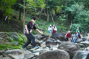 BIB: 
                            <button type="button" onclick="openModal(19432943)" class="btn btn-primary btn-sm float-right btn-popup" data-toggle="modal" data-target=".modal-high-quality">
                        <i class="fas fa-shopping-cart"></i> Add to Cart
                    </button>
                                            <button type="button" onclick="isThisMe(19432943, true)" class="btn btn-success btn-sm float-right btn-popup btn-isme hidden" data-toggle="tooltip" data-placement="bottom" title="นี่คือรูปของคุณใช่ไหม คลิกที่นี่เพื่อเอาเข้าอัลบั้ม">
                        <i class="fas fa-plus"></i> Add to album
                    </button>
                    <button type="button" onclick="isThisMe(19432943, false)" class="btn btn-warning btn-sm float-right btn-popup btn-isnotme hidden">
                        <i class="fas fa-ban"></i> Remove from album
                    </button>