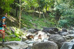 BIB: 
                            <button type="button" onclick="openModal(19433651)" class="btn btn-primary btn-sm float-right btn-popup" data-toggle="modal" data-target=".modal-high-quality">
                        <i class="fas fa-shopping-cart"></i> Add to Cart
                    </button>
                                            <button type="button" onclick="isThisMe(19433651, true)" class="btn btn-success btn-sm float-right btn-popup btn-isme hidden" data-toggle="tooltip" data-placement="bottom" title="นี่คือรูปของคุณใช่ไหม คลิกที่นี่เพื่อเอาเข้าอัลบั้ม">
                        <i class="fas fa-plus"></i> Add to album
                    </button>
                    <button type="button" onclick="isThisMe(19433651, false)" class="btn btn-warning btn-sm float-right btn-popup btn-isnotme hidden">
                        <i class="fas fa-ban"></i> Remove from album
                    </button>