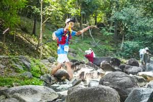 BIB: 
                            <button type="button" onclick="openModal(19433330)" class="btn btn-primary btn-sm float-right btn-popup" data-toggle="modal" data-target=".modal-high-quality">
                        <i class="fas fa-shopping-cart"></i> Add to Cart
                    </button>
                                            <button type="button" onclick="isThisMe(19433330, true)" class="btn btn-success btn-sm float-right btn-popup btn-isme hidden" data-toggle="tooltip" data-placement="bottom" title="นี่คือรูปของคุณใช่ไหม คลิกที่นี่เพื่อเอาเข้าอัลบั้ม">
                        <i class="fas fa-plus"></i> Add to album
                    </button>
                    <button type="button" onclick="isThisMe(19433330, false)" class="btn btn-warning btn-sm float-right btn-popup btn-isnotme hidden">
                        <i class="fas fa-ban"></i> Remove from album
                    </button>