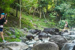 BIB: 
                            <button type="button" onclick="openModal(19431689)" class="btn btn-primary btn-sm float-right btn-popup" data-toggle="modal" data-target=".modal-high-quality">
                        <i class="fas fa-shopping-cart"></i> Add to Cart
                    </button>
                                            <button type="button" onclick="isThisMe(19431689, true)" class="btn btn-success btn-sm float-right btn-popup btn-isme hidden" data-toggle="tooltip" data-placement="bottom" title="นี่คือรูปของคุณใช่ไหม คลิกที่นี่เพื่อเอาเข้าอัลบั้ม">
                        <i class="fas fa-plus"></i> Add to album
                    </button>
                    <button type="button" onclick="isThisMe(19431689, false)" class="btn btn-warning btn-sm float-right btn-popup btn-isnotme hidden">
                        <i class="fas fa-ban"></i> Remove from album
                    </button>