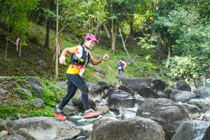 BIB: 
                            <button type="button" onclick="openModal(19431065)" class="btn btn-primary btn-sm float-right btn-popup" data-toggle="modal" data-target=".modal-high-quality">
                        <i class="fas fa-shopping-cart"></i> Add to Cart
                    </button>
                                            <button type="button" onclick="isThisMe(19431065, true)" class="btn btn-success btn-sm float-right btn-popup btn-isme hidden" data-toggle="tooltip" data-placement="bottom" title="นี่คือรูปของคุณใช่ไหม คลิกที่นี่เพื่อเอาเข้าอัลบั้ม">
                        <i class="fas fa-plus"></i> Add to album
                    </button>
                    <button type="button" onclick="isThisMe(19431065, false)" class="btn btn-warning btn-sm float-right btn-popup btn-isnotme hidden">
                        <i class="fas fa-ban"></i> Remove from album
                    </button>