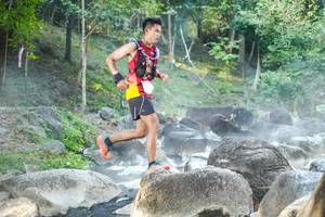 BIB: 
                            <button type="button" onclick="openModal(19429652)" class="btn btn-primary btn-sm float-right btn-popup" data-toggle="modal" data-target=".modal-high-quality">
                        <i class="fas fa-shopping-cart"></i> Add to Cart
                    </button>
                                            <button type="button" onclick="isThisMe(19429652, true)" class="btn btn-success btn-sm float-right btn-popup btn-isme hidden" data-toggle="tooltip" data-placement="bottom" title="นี่คือรูปของคุณใช่ไหม คลิกที่นี่เพื่อเอาเข้าอัลบั้ม">
                        <i class="fas fa-plus"></i> Add to album
                    </button>
                    <button type="button" onclick="isThisMe(19429652, false)" class="btn btn-warning btn-sm float-right btn-popup btn-isnotme hidden">
                        <i class="fas fa-ban"></i> Remove from album
                    </button>