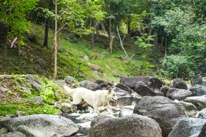 BIB: 
                            <button type="button" onclick="openModal(19433844)" class="btn btn-primary btn-sm float-right btn-popup" data-toggle="modal" data-target=".modal-high-quality">
                        <i class="fas fa-shopping-cart"></i> Add to Cart
                    </button>
                                            <button type="button" onclick="isThisMe(19433844, true)" class="btn btn-success btn-sm float-right btn-popup btn-isme hidden" data-toggle="tooltip" data-placement="bottom" title="นี่คือรูปของคุณใช่ไหม คลิกที่นี่เพื่อเอาเข้าอัลบั้ม">
                        <i class="fas fa-plus"></i> Add to album
                    </button>
                    <button type="button" onclick="isThisMe(19433844, false)" class="btn btn-warning btn-sm float-right btn-popup btn-isnotme hidden">
                        <i class="fas fa-ban"></i> Remove from album
                    </button>