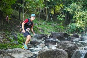 BIB: 
                            <button type="button" onclick="openModal(19430069)" class="btn btn-primary btn-sm float-right btn-popup" data-toggle="modal" data-target=".modal-high-quality">
                        <i class="fas fa-shopping-cart"></i> Add to Cart
                    </button>
                                            <button type="button" onclick="isThisMe(19430069, true)" class="btn btn-success btn-sm float-right btn-popup btn-isme hidden" data-toggle="tooltip" data-placement="bottom" title="นี่คือรูปของคุณใช่ไหม คลิกที่นี่เพื่อเอาเข้าอัลบั้ม">
                        <i class="fas fa-plus"></i> Add to album
                    </button>
                    <button type="button" onclick="isThisMe(19430069, false)" class="btn btn-warning btn-sm float-right btn-popup btn-isnotme hidden">
                        <i class="fas fa-ban"></i> Remove from album
                    </button>