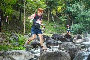 BIB: 
                            <button type="button" onclick="openModal(19432209)" class="btn btn-primary btn-sm float-right btn-popup" data-toggle="modal" data-target=".modal-high-quality">
                        <i class="fas fa-shopping-cart"></i> Add to Cart
                    </button>
                                            <button type="button" onclick="isThisMe(19432209, true)" class="btn btn-success btn-sm float-right btn-popup btn-isme hidden" data-toggle="tooltip" data-placement="bottom" title="นี่คือรูปของคุณใช่ไหม คลิกที่นี่เพื่อเอาเข้าอัลบั้ม">
                        <i class="fas fa-plus"></i> Add to album
                    </button>
                    <button type="button" onclick="isThisMe(19432209, false)" class="btn btn-warning btn-sm float-right btn-popup btn-isnotme hidden">
                        <i class="fas fa-ban"></i> Remove from album
                    </button>