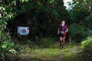 BIB: 
                            <button type="button" onclick="openModal(19389470)" class="btn btn-primary btn-sm float-right btn-popup" data-toggle="modal" data-target=".modal-high-quality">
                        <i class="fas fa-shopping-cart"></i> Add to Cart
                    </button>
                                            <button type="button" onclick="isThisMe(19389470, true)" class="btn btn-success btn-sm float-right btn-popup btn-isme hidden" data-toggle="tooltip" data-placement="bottom" title="นี่คือรูปของคุณใช่ไหม คลิกที่นี่เพื่อเอาเข้าอัลบั้ม">
                        <i class="fas fa-plus"></i> Add to album
                    </button>
                    <button type="button" onclick="isThisMe(19389470, false)" class="btn btn-warning btn-sm float-right btn-popup btn-isnotme hidden">
                        <i class="fas fa-ban"></i> Remove from album
                    </button>