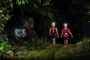 BIB: 
                            <button type="button" onclick="openModal(19441773)" class="btn btn-primary btn-sm float-right btn-popup" data-toggle="modal" data-target=".modal-high-quality">
                        <i class="fas fa-shopping-cart"></i> Add to Cart
                    </button>
                                            <button type="button" onclick="isThisMe(19441773, true)" class="btn btn-success btn-sm float-right btn-popup btn-isme hidden" data-toggle="tooltip" data-placement="bottom" title="นี่คือรูปของคุณใช่ไหม คลิกที่นี่เพื่อเอาเข้าอัลบั้ม">
                        <i class="fas fa-plus"></i> Add to album
                    </button>
                    <button type="button" onclick="isThisMe(19441773, false)" class="btn btn-warning btn-sm float-right btn-popup btn-isnotme hidden">
                        <i class="fas fa-ban"></i> Remove from album
                    </button>