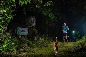 BIB: 
                            <button type="button" onclick="openModal(19545811)" class="btn btn-primary btn-sm float-right btn-popup" data-toggle="modal" data-target=".modal-high-quality">
                        <i class="fas fa-shopping-cart"></i> Add to Cart
                    </button>
                                            <button type="button" onclick="isThisMe(19545811, true)" class="btn btn-success btn-sm float-right btn-popup btn-isme hidden" data-toggle="tooltip" data-placement="bottom" title="นี่คือรูปของคุณใช่ไหม คลิกที่นี่เพื่อเอาเข้าอัลบั้ม">
                        <i class="fas fa-plus"></i> Add to album
                    </button>
                    <button type="button" onclick="isThisMe(19545811, false)" class="btn btn-warning btn-sm float-right btn-popup btn-isnotme hidden">
                        <i class="fas fa-ban"></i> Remove from album
                    </button>