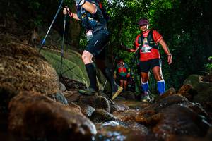 BIB: 
                            <button type="button" onclick="openModal(19502144)" class="btn btn-primary btn-sm float-right btn-popup" data-toggle="modal" data-target=".modal-high-quality">
                        <i class="fas fa-shopping-cart"></i> Add to Cart
                    </button>
                                            <button type="button" onclick="isThisMe(19502144, true)" class="btn btn-success btn-sm float-right btn-popup btn-isme hidden" data-toggle="tooltip" data-placement="bottom" title="นี่คือรูปของคุณใช่ไหม คลิกที่นี่เพื่อเอาเข้าอัลบั้ม">
                        <i class="fas fa-plus"></i> Add to album
                    </button>
                    <button type="button" onclick="isThisMe(19502144, false)" class="btn btn-warning btn-sm float-right btn-popup btn-isnotme hidden">
                        <i class="fas fa-ban"></i> Remove from album
                    </button>