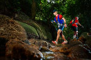 BIB: 
                            <button type="button" onclick="openModal(19501966)" class="btn btn-primary btn-sm float-right btn-popup" data-toggle="modal" data-target=".modal-high-quality">
                        <i class="fas fa-shopping-cart"></i> Add to Cart
                    </button>
                                            <button type="button" onclick="isThisMe(19501966, true)" class="btn btn-success btn-sm float-right btn-popup btn-isme hidden" data-toggle="tooltip" data-placement="bottom" title="นี่คือรูปของคุณใช่ไหม คลิกที่นี่เพื่อเอาเข้าอัลบั้ม">
                        <i class="fas fa-plus"></i> Add to album
                    </button>
                    <button type="button" onclick="isThisMe(19501966, false)" class="btn btn-warning btn-sm float-right btn-popup btn-isnotme hidden">
                        <i class="fas fa-ban"></i> Remove from album
                    </button>