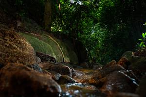 BIB: 
                            <button type="button" onclick="openModal(19501994)" class="btn btn-primary btn-sm float-right btn-popup" data-toggle="modal" data-target=".modal-high-quality">
                        <i class="fas fa-shopping-cart"></i> Add to Cart
                    </button>
                                            <button type="button" onclick="isThisMe(19501994, true)" class="btn btn-success btn-sm float-right btn-popup btn-isme hidden" data-toggle="tooltip" data-placement="bottom" title="นี่คือรูปของคุณใช่ไหม คลิกที่นี่เพื่อเอาเข้าอัลบั้ม">
                        <i class="fas fa-plus"></i> Add to album
                    </button>
                    <button type="button" onclick="isThisMe(19501994, false)" class="btn btn-warning btn-sm float-right btn-popup btn-isnotme hidden">
                        <i class="fas fa-ban"></i> Remove from album
                    </button>