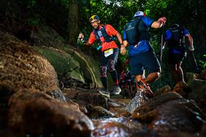 BIB: 
                            <button type="button" onclick="openModal(19502153)" class="btn btn-primary btn-sm float-right btn-popup" data-toggle="modal" data-target=".modal-high-quality">
                        <i class="fas fa-shopping-cart"></i> Add to Cart
                    </button>
                                            <button type="button" onclick="isThisMe(19502153, true)" class="btn btn-success btn-sm float-right btn-popup btn-isme hidden" data-toggle="tooltip" data-placement="bottom" title="นี่คือรูปของคุณใช่ไหม คลิกที่นี่เพื่อเอาเข้าอัลบั้ม">
                        <i class="fas fa-plus"></i> Add to album
                    </button>
                    <button type="button" onclick="isThisMe(19502153, false)" class="btn btn-warning btn-sm float-right btn-popup btn-isnotme hidden">
                        <i class="fas fa-ban"></i> Remove from album
                    </button>