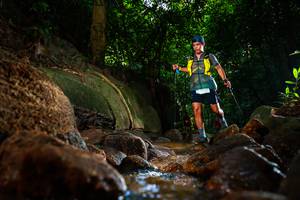 BIB: 
                            <button type="button" onclick="openModal(19501995)" class="btn btn-primary btn-sm float-right btn-popup" data-toggle="modal" data-target=".modal-high-quality">
                        <i class="fas fa-shopping-cart"></i> Add to Cart
                    </button>
                                            <button type="button" onclick="isThisMe(19501995, true)" class="btn btn-success btn-sm float-right btn-popup btn-isme hidden" data-toggle="tooltip" data-placement="bottom" title="นี่คือรูปของคุณใช่ไหม คลิกที่นี่เพื่อเอาเข้าอัลบั้ม">
                        <i class="fas fa-plus"></i> Add to album
                    </button>
                    <button type="button" onclick="isThisMe(19501995, false)" class="btn btn-warning btn-sm float-right btn-popup btn-isnotme hidden">
                        <i class="fas fa-ban"></i> Remove from album
                    </button>