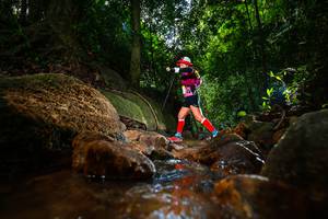 BIB: 
                            <button type="button" onclick="openModal(19502237)" class="btn btn-primary btn-sm float-right btn-popup" data-toggle="modal" data-target=".modal-high-quality">
                        <i class="fas fa-shopping-cart"></i> Add to Cart
                    </button>
                                            <button type="button" onclick="isThisMe(19502237, true)" class="btn btn-success btn-sm float-right btn-popup btn-isme hidden" data-toggle="tooltip" data-placement="bottom" title="นี่คือรูปของคุณใช่ไหม คลิกที่นี่เพื่อเอาเข้าอัลบั้ม">
                        <i class="fas fa-plus"></i> Add to album
                    </button>
                    <button type="button" onclick="isThisMe(19502237, false)" class="btn btn-warning btn-sm float-right btn-popup btn-isnotme hidden">
                        <i class="fas fa-ban"></i> Remove from album
                    </button>