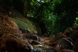 BIB: 
                            <button type="button" onclick="openModal(19501993)" class="btn btn-primary btn-sm float-right btn-popup" data-toggle="modal" data-target=".modal-high-quality">
                        <i class="fas fa-shopping-cart"></i> Add to Cart
                    </button>
                                            <button type="button" onclick="isThisMe(19501993, true)" class="btn btn-success btn-sm float-right btn-popup btn-isme hidden" data-toggle="tooltip" data-placement="bottom" title="นี่คือรูปของคุณใช่ไหม คลิกที่นี่เพื่อเอาเข้าอัลบั้ม">
                        <i class="fas fa-plus"></i> Add to album
                    </button>
                    <button type="button" onclick="isThisMe(19501993, false)" class="btn btn-warning btn-sm float-right btn-popup btn-isnotme hidden">
                        <i class="fas fa-ban"></i> Remove from album
                    </button>