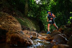 BIB: 
                            <button type="button" onclick="openModal(19502248)" class="btn btn-primary btn-sm float-right btn-popup" data-toggle="modal" data-target=".modal-high-quality">
                        <i class="fas fa-shopping-cart"></i> Add to Cart
                    </button>
                                            <button type="button" onclick="isThisMe(19502248, true)" class="btn btn-success btn-sm float-right btn-popup btn-isme hidden" data-toggle="tooltip" data-placement="bottom" title="นี่คือรูปของคุณใช่ไหม คลิกที่นี่เพื่อเอาเข้าอัลบั้ม">
                        <i class="fas fa-plus"></i> Add to album
                    </button>
                    <button type="button" onclick="isThisMe(19502248, false)" class="btn btn-warning btn-sm float-right btn-popup btn-isnotme hidden">
                        <i class="fas fa-ban"></i> Remove from album
                    </button>