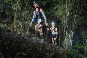 BIB: 
                            <button type="button" onclick="openModal(19471128)" class="btn btn-primary btn-sm float-right btn-popup" data-toggle="modal" data-target=".modal-high-quality">
                        <i class="fas fa-shopping-cart"></i> Add to Cart
                    </button>
                                            <button type="button" onclick="isThisMe(19471128, true)" class="btn btn-success btn-sm float-right btn-popup btn-isme hidden" data-toggle="tooltip" data-placement="bottom" title="นี่คือรูปของคุณใช่ไหม คลิกที่นี่เพื่อเอาเข้าอัลบั้ม">
                        <i class="fas fa-plus"></i> Add to album
                    </button>
                    <button type="button" onclick="isThisMe(19471128, false)" class="btn btn-warning btn-sm float-right btn-popup btn-isnotme hidden">
                        <i class="fas fa-ban"></i> Remove from album
                    </button>