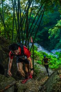 BIB: 
                            <button type="button" onclick="openModal(19474010)" class="btn btn-primary btn-sm float-right btn-popup" data-toggle="modal" data-target=".modal-high-quality">
                        <i class="fas fa-shopping-cart"></i> Add to Cart
                    </button>
                                            <button type="button" onclick="isThisMe(19474010, true)" class="btn btn-success btn-sm float-right btn-popup btn-isme hidden" data-toggle="tooltip" data-placement="bottom" title="นี่คือรูปของคุณใช่ไหม คลิกที่นี่เพื่อเอาเข้าอัลบั้ม">
                        <i class="fas fa-plus"></i> Add to album
                    </button>
                    <button type="button" onclick="isThisMe(19474010, false)" class="btn btn-warning btn-sm float-right btn-popup btn-isnotme hidden">
                        <i class="fas fa-ban"></i> Remove from album
                    </button>