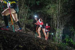 BIB: 
                            <button type="button" onclick="openModal(19471556)" class="btn btn-primary btn-sm float-right btn-popup" data-toggle="modal" data-target=".modal-high-quality">
                        <i class="fas fa-shopping-cart"></i> Add to Cart
                    </button>
                                            <button type="button" onclick="isThisMe(19471556, true)" class="btn btn-success btn-sm float-right btn-popup btn-isme hidden" data-toggle="tooltip" data-placement="bottom" title="นี่คือรูปของคุณใช่ไหม คลิกที่นี่เพื่อเอาเข้าอัลบั้ม">
                        <i class="fas fa-plus"></i> Add to album
                    </button>
                    <button type="button" onclick="isThisMe(19471556, false)" class="btn btn-warning btn-sm float-right btn-popup btn-isnotme hidden">
                        <i class="fas fa-ban"></i> Remove from album
                    </button>