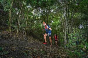 BIB: 
                            <button type="button" onclick="openModal(19469179)" class="btn btn-primary btn-sm float-right btn-popup" data-toggle="modal" data-target=".modal-high-quality">
                        <i class="fas fa-shopping-cart"></i> Add to Cart
                    </button>
                                            <button type="button" onclick="isThisMe(19469179, true)" class="btn btn-success btn-sm float-right btn-popup btn-isme hidden" data-toggle="tooltip" data-placement="bottom" title="นี่คือรูปของคุณใช่ไหม คลิกที่นี่เพื่อเอาเข้าอัลบั้ม">
                        <i class="fas fa-plus"></i> Add to album
                    </button>
                    <button type="button" onclick="isThisMe(19469179, false)" class="btn btn-warning btn-sm float-right btn-popup btn-isnotme hidden">
                        <i class="fas fa-ban"></i> Remove from album
                    </button>