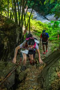 BIB: 
                            <button type="button" onclick="openModal(19468446)" class="btn btn-primary btn-sm float-right btn-popup" data-toggle="modal" data-target=".modal-high-quality">
                        <i class="fas fa-shopping-cart"></i> Add to Cart
                    </button>
                                            <button type="button" onclick="isThisMe(19468446, true)" class="btn btn-success btn-sm float-right btn-popup btn-isme hidden" data-toggle="tooltip" data-placement="bottom" title="นี่คือรูปของคุณใช่ไหม คลิกที่นี่เพื่อเอาเข้าอัลบั้ม">
                        <i class="fas fa-plus"></i> Add to album
                    </button>
                    <button type="button" onclick="isThisMe(19468446, false)" class="btn btn-warning btn-sm float-right btn-popup btn-isnotme hidden">
                        <i class="fas fa-ban"></i> Remove from album
                    </button>