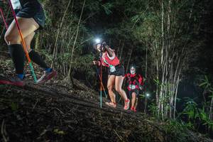 BIB: 
                            <button type="button" onclick="openModal(19471560)" class="btn btn-primary btn-sm float-right btn-popup" data-toggle="modal" data-target=".modal-high-quality">
                        <i class="fas fa-shopping-cart"></i> Add to Cart
                    </button>
                                            <button type="button" onclick="isThisMe(19471560, true)" class="btn btn-success btn-sm float-right btn-popup btn-isme hidden" data-toggle="tooltip" data-placement="bottom" title="นี่คือรูปของคุณใช่ไหม คลิกที่นี่เพื่อเอาเข้าอัลบั้ม">
                        <i class="fas fa-plus"></i> Add to album
                    </button>
                    <button type="button" onclick="isThisMe(19471560, false)" class="btn btn-warning btn-sm float-right btn-popup btn-isnotme hidden">
                        <i class="fas fa-ban"></i> Remove from album
                    </button>