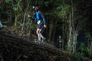 BIB: 
                            <button type="button" onclick="openModal(19471306)" class="btn btn-primary btn-sm float-right btn-popup" data-toggle="modal" data-target=".modal-high-quality">
                        <i class="fas fa-shopping-cart"></i> Add to Cart
                    </button>
                                            <button type="button" onclick="isThisMe(19471306, true)" class="btn btn-success btn-sm float-right btn-popup btn-isme hidden" data-toggle="tooltip" data-placement="bottom" title="นี่คือรูปของคุณใช่ไหม คลิกที่นี่เพื่อเอาเข้าอัลบั้ม">
                        <i class="fas fa-plus"></i> Add to album
                    </button>
                    <button type="button" onclick="isThisMe(19471306, false)" class="btn btn-warning btn-sm float-right btn-popup btn-isnotme hidden">
                        <i class="fas fa-ban"></i> Remove from album
                    </button>