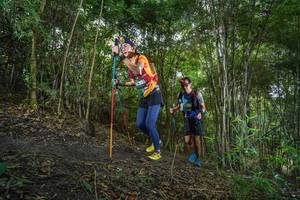 BIB: 
                            <button type="button" onclick="openModal(19469289)" class="btn btn-primary btn-sm float-right btn-popup" data-toggle="modal" data-target=".modal-high-quality">
                        <i class="fas fa-shopping-cart"></i> Add to Cart
                    </button>
                                            <button type="button" onclick="isThisMe(19469289, true)" class="btn btn-success btn-sm float-right btn-popup btn-isme hidden" data-toggle="tooltip" data-placement="bottom" title="นี่คือรูปของคุณใช่ไหม คลิกที่นี่เพื่อเอาเข้าอัลบั้ม">
                        <i class="fas fa-plus"></i> Add to album
                    </button>
                    <button type="button" onclick="isThisMe(19469289, false)" class="btn btn-warning btn-sm float-right btn-popup btn-isnotme hidden">
                        <i class="fas fa-ban"></i> Remove from album
                    </button>