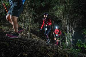 BIB: 
                            <button type="button" onclick="openModal(19472576)" class="btn btn-primary btn-sm float-right btn-popup" data-toggle="modal" data-target=".modal-high-quality">
                        <i class="fas fa-shopping-cart"></i> Add to Cart
                    </button>
                                            <button type="button" onclick="isThisMe(19472576, true)" class="btn btn-success btn-sm float-right btn-popup btn-isme hidden" data-toggle="tooltip" data-placement="bottom" title="นี่คือรูปของคุณใช่ไหม คลิกที่นี่เพื่อเอาเข้าอัลบั้ม">
                        <i class="fas fa-plus"></i> Add to album
                    </button>
                    <button type="button" onclick="isThisMe(19472576, false)" class="btn btn-warning btn-sm float-right btn-popup btn-isnotme hidden">
                        <i class="fas fa-ban"></i> Remove from album
                    </button>